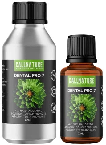 Dental Pro 7